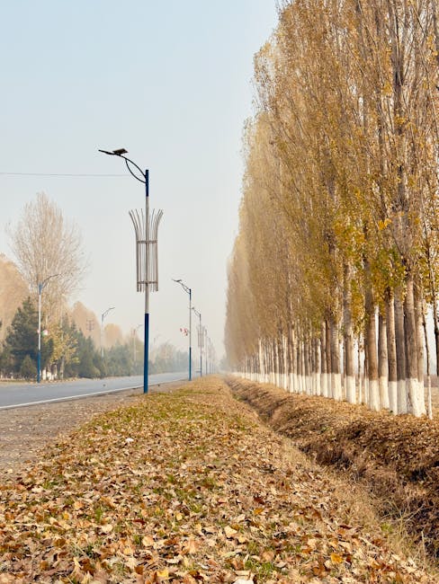 A straight, paved road during daylight hours extending into the distance, bordered by tall trees with yellow and green autumn foliage on both sides. Shadows of the trees fall across the road, creating a pattern of light and shade. The sky above is partly cloudy with patches of blue visible. The scene is peaceful and natural, evoking the calm environment suitable for a house removal or moving process, which is relevant to the services provided by Man with Van Poplar. The image captures the outdoor setting often associated with moving logistics, such as transporting furniture and boxes through scenic routes during home relocations.