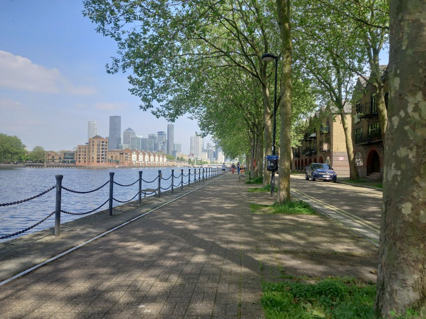 The image shows a riverside pathway lined with mature trees casting dappled shadows on the paved surface, with a black metal railing along the edge separating it from the water. On the right side, residential buildings with balconies are visible, alongside parked cars and a street lamp. The scene is set during daylight with clear weather, and in the distance, a modern city skyline featuring tall skyscrapers can be seen across the river. This tranquil urban riverside setting provides a typical environment where [COMPANY_NAME] might conduct home relocation or furniture transport services involving loading and unloading near residential streets adjacent to the water, with the trees and pathway offering accessible routes for moving equipment like trolleys or carts during a house move or packing and moving process.